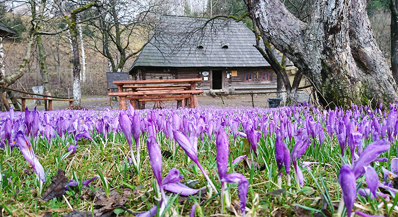 Весна в Закарпатье